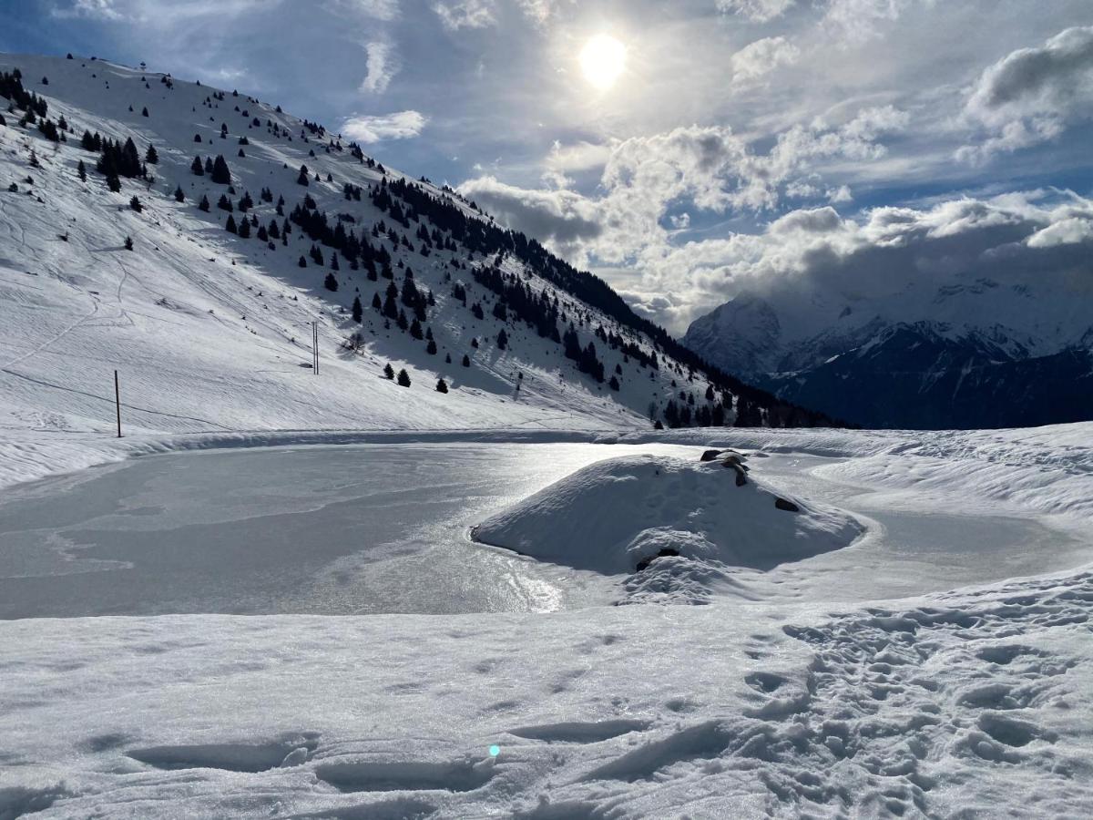 Chalet Le Montana Villard-Reculas Bagian luar foto